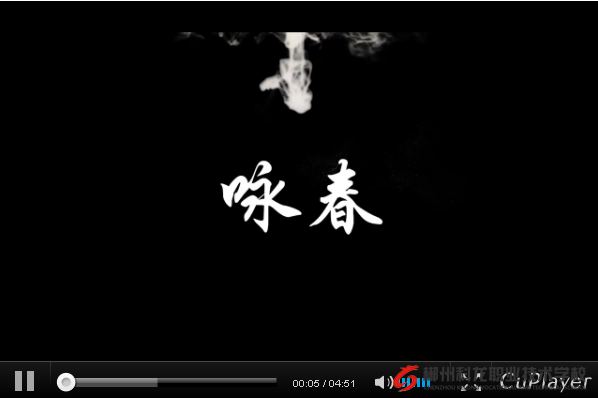 ?郴州科龍職業(yè)技術學校中華武術《詠春 》